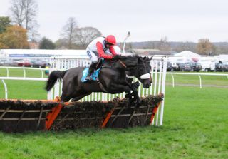 Big Buck&amp;#039;s mit Ruby Walsh auf dem Weg zum Sieg. Foto: JJ Clarke