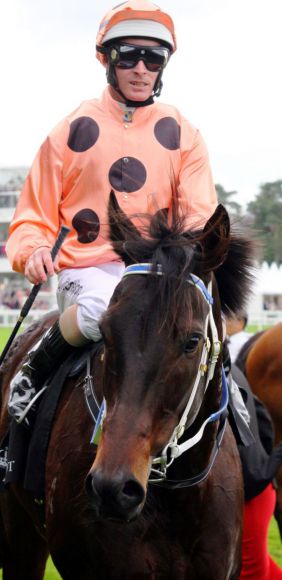 Schaffte in Randwick ihren 25. Sieg im 25. Rennen: Black Caviar mit Luke Nolen. www.galoppfoto.de (Archiv) - Sandra Scherning