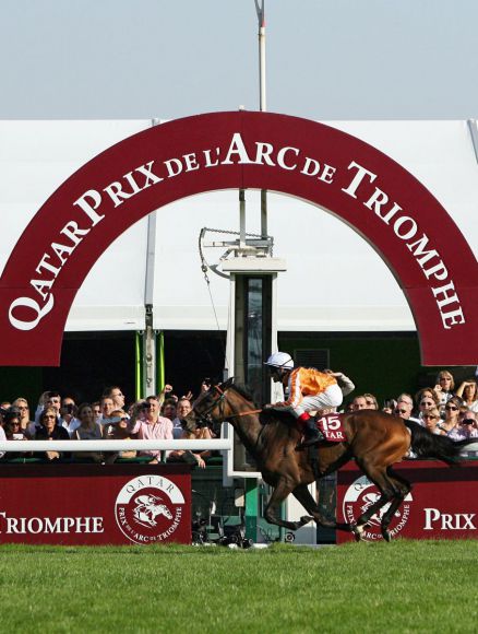 Für den größten Erfolg in der deutschen Vollblutzucht sorgte Danedream - hier beim ihrem Sieg im Prix de l'Arc de Triomphe