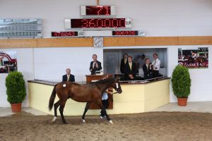 Der Monsun-Sohn See The White wurde das zweitteuerste Pferd der Auktion