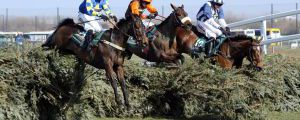 Grand National Chase