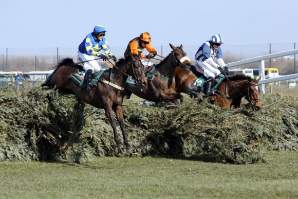 Grand National Chase