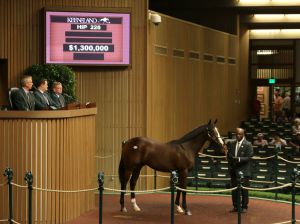 Dieser War Front-Hengst geht nach Coolmore. Foto: www.keeneland.com/sales