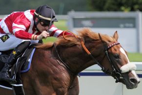 Lokal-Matador: Django Freeman mit Lukas Delozier gewann für Trainer Henk Grewe in den Bavarian Classic. www.galoppfoto.de - WiebkeArt