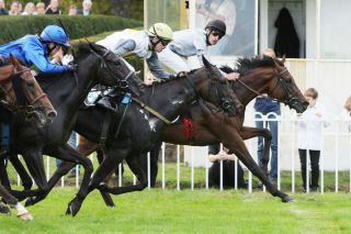 Mit dem Ritt auf Eigelstein im September 2011 in Hoppegarten gewinnt Starke die Turf-Times-Wahl zum 'Ritt des Monats'. www.galoppfoto.de www.galoppfoto.de