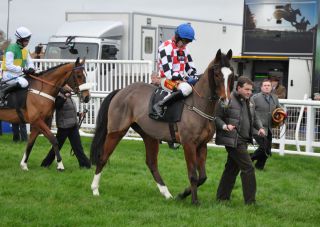 Ein Fährhofer Gr. III-Sieger über Sprünge - The Giant Bolster. Foto: JJ Clarck