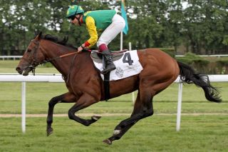 Der erste Sieg  in Deutschland: Sibylle Vogt nutzte im Mai 2016 die Chance mit Dragoslav im Ausgleich III in Köln. www.galoppfoto.de - Sandra Scherning