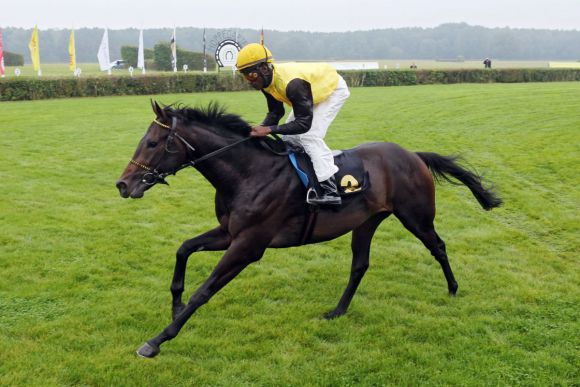 Fährhofer Dreijährigen-Talent mit Derby-Nennung: Der von Andreas Wöhler trainierte Cape Cross-Sohn aus der Kahara - hier mit Eduardo Pedroza beim überlegenen Maidensieg zweijährig in Hoppegarten. www.galoppfoto.de - Frank Sorge