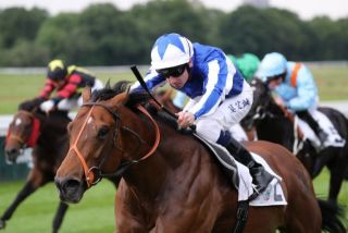 Fox Champion siegt unter Oisin Murphy im wie üblich von den Gästen dominierten Mehl-Mülhens-Rennen. Foto: Dr. Jens Fuchs