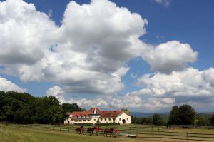 Blick auf das Gestüt Westerberg in Ingelheim am Rhein. www.galoppfoto.de - Frank Sorge