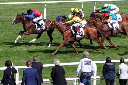 In Swoop won the IDEE 151st Deutsches Derby: Torquator Tasso placed second. Both are sons of Adlerflug. www.galoppfoto. de - Frank Sorge