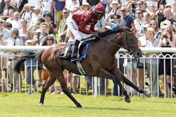 Hoffnungsträger aus Fährhofer Zucht: Der für Qatar Racing startende Rosa Di Brema-Sohn Roque Runner - hier mit Eduardo Pedroza bei seinem überzeugenden Maidensieg im Zweijährigen-Rennen. www.galoppfoto.de - Sabine Brose