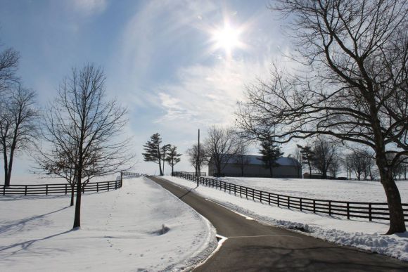 Der Sitz der Familie Berglar in Amerika: Das Stonereath Stud in Kentucky präsentiert sich winterlich. Foto: ww.stonereathstud.com/