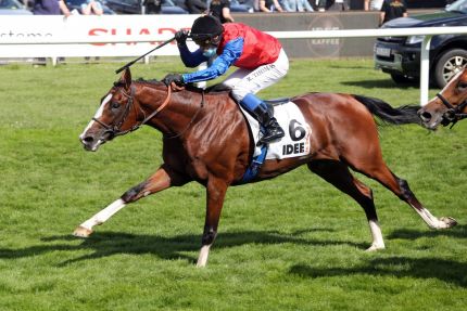 19, Derbysieg für das Gestüt Schlenderhan: In Swoop mit Ronan Thomas gewinnt das IDEE 151. Deutsche Derby. www.galoppfoto.de - Sabine Brose