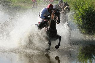 Auch am Sonntag geht es wieder in den See, bei der der ersten Auflage gewann Indian Sun unter Jan Korpas. www.pferde-gtm.de - Katja Gerhardt