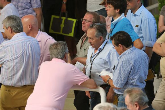 Interessenten auch für deutsche Rennställe.: www.galoppfoto.de - Sarah Bauer