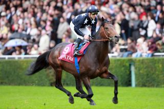 2008 - It's Gino mit Thierry Thulliez bei der Arc-Parade in Longchamp. www.galoppfoto.de