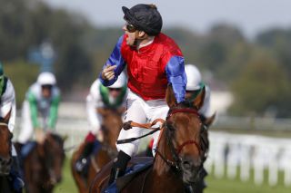 Setzte das züchterische Highlight im Jahr 2014: Der zweimalige Gr. I-Sieger Ivanhowe - hier mit Filip Minarik beim Erfolg im Longines - Großer Preis von Baden. www.galoppfoto.de - Frank Sorge