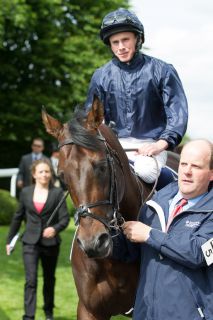 Coolmores Beitrag zum IDEE 145. Deutschen Derby: Geoffrey Chaucer mit Ryan Moore, hinter Sea The Moon 2. Derby-Favorit. Foto: racehorsephotos.co.uk - Julie Drewett