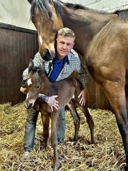 Alle da, alles klar: Auch bei Taxi4Horses sind alle 2023-er Fohlen gesund gelandet. Juniorchef Jan war genau zur passenden Zeit im Haras de Rabodanges, um das Isfahan-Stutfohlen der Kaliyah (Charm Spirit) begrüßen zu können - Foto: privat