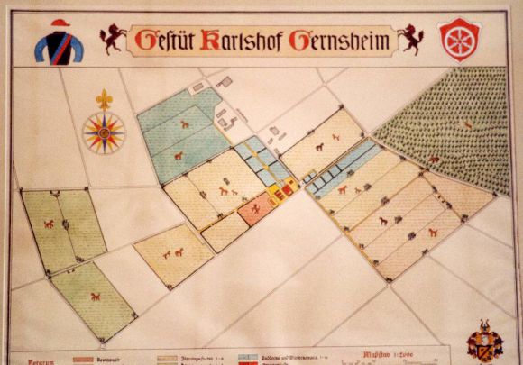 Eine handgemalte Karte von Gestüt Karlshof. Foto: Carola Kammerinke