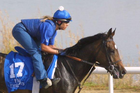 Kazzia im Galopp bei der Morgenarbeit 2002 für Godolphin in Dubai. www.galoppfoto.de - Frank Sorge