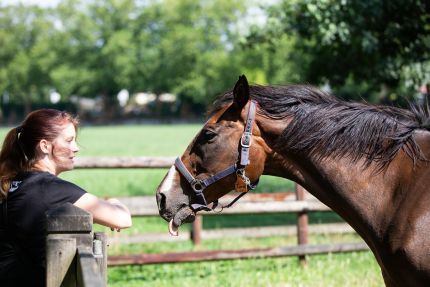 Die Dame war zum Scherzen aufgelegt: Iota, die Mutter des Derbysiegers In Swoop, mit Nika S. Daveron aus dem RaceBets-Podcast-Team auf der Koppel in Zieverich. ©www.facebook.com/morwen.foto/