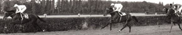 Königsstuhl vor Windlauf und Blue Moon als souveräner St. Leger Sieger holt er sich die Triple-Crown.: Foto Archiv Zoppenbroich www.gestuet-zoppenbroich.de