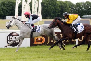 Ein 52.000-Euro-Rennen: La La Land gewinnt  mit Andrasch Starke das BBAG Auktionsrennen Dresden. www.galoppfoto.de - Sabine Brose