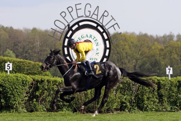 Gilt als Favorit für die RaceBets.com Bavarian Classic: Gestüt Auenquelle Lac Leman aus dem Stall von Roland Dzubasz, der bei zwei Starts zweimal gewann - hier mit Stephen Hellyn in Hoppegarten. www.galoppfoto.de - Sabine Brose