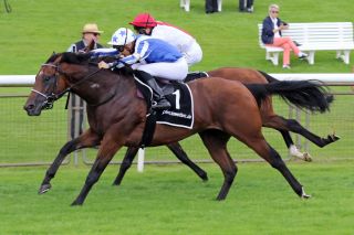 Das Wöhler-Doppel: Majestic Colt gewinnt mit Bauyrzhan Murzabayev vor Zerostress auf Listenparkett in Hannover. www.galoppfoto.de - Marius Schwarz