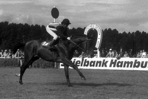 Otto Gervai auf Miraculo beim Aufgalopp zum 110. Deutschen Derby 1979. www.galoppfoto.de - Archiv Hilde Hoppe