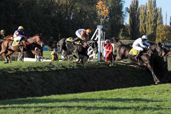 Übernahm schon früh die Führung und gab sie nicht mehr ab: Orphee des Blins mit Jan Faltejsek während der Velka Pardubicka. www.galoppfoto.de - Petr Guth