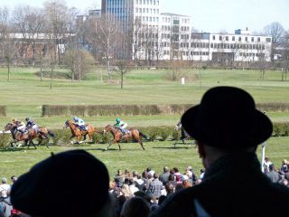 Blick von der Tribüne auf der Rennbahn in Mülheim. Foto: Karina Strübbe