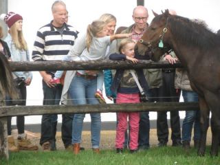 Römerhof: Auch der Nachwuchs war begeistert. Foto privat/Gestüt Römerhof