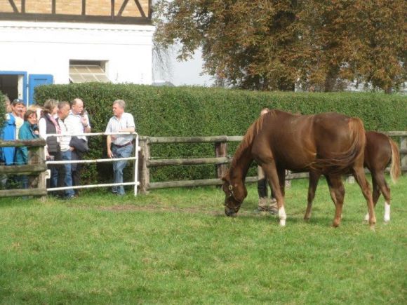 Römerhof