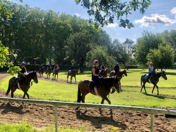 Rush Hour: Mittlerweile werden in Mülheim über 160 Pferde trainiert, darunter drei frische Gruppersieger. www.dequia.de