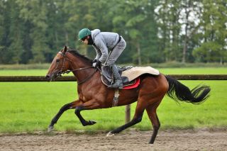 Sand Zabeel