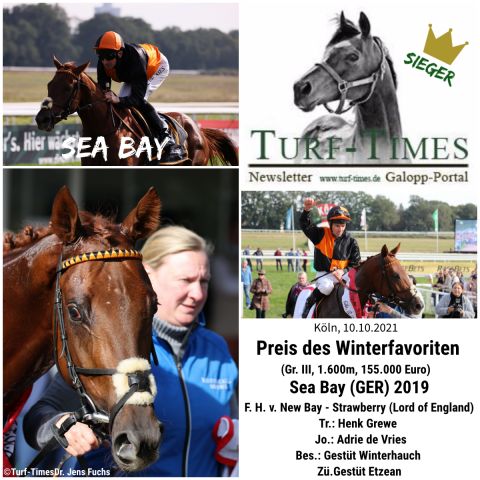 Preis des Winterfavoriten, Gr. III: Gestüt Winterhauchs Sea Bay siegt für Trainer Henk Grewe mit Adrie de Vries im Sattel. ©Turf-Times/Dr. Jens Fuchs