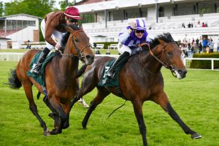 Sieger im Hoppegartener Derby-Trial und Co-Favorit für Hamburg: Sea of Sands (rechts) ist mit Lukas Delozier nach Kampf mit einem Kopf vor Lord Charming mit  Bauyrzhan Murzabayev vorn. ©galoppfoto - Frank Sorge