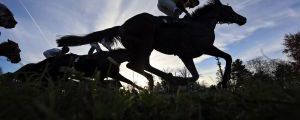 Silhouette, Pferde und Jockeys im Rennen. www.galoppfoto.de - Frank Sorge