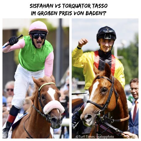 Beim Großen Preis von Baden kommt es zum Showdown der Cracks: 32 Pferde sind genannt, darunter auch der Derbysieger Sisfahan und der letztjährige Derby-Zweite und aktuelle Hansa Preis-Sieger Torquator Tasso. ©Turf-Times - Galoppfoto