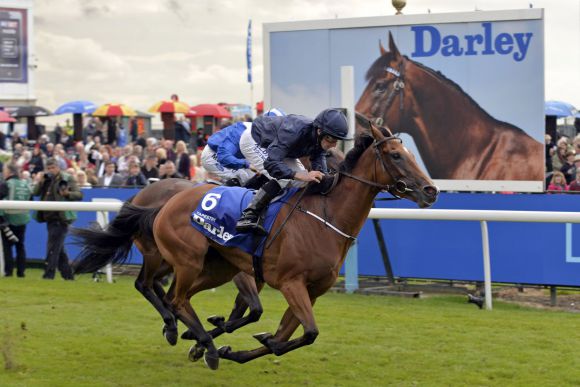 Wurde für 120.000 Euro nachgenannt: Tapestry - hier mit Ryan Moore beim Sieg in den Darley Yorkshire Oaks. www.galoppfoto.de - John James Clark