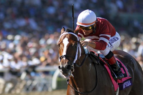 Außenseitersieg durch Tapizar mit Corey Nakatani  in der Breeders' Cup Dirt Mile. www.galoppfoto.de - Petr Guth