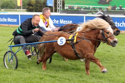 Die kleine und vollschlanke Rennpferde-Variante: Timo Rosenberg (links) gewinnt mit Mattin gegen Joerg Sievers und Snickers die Minitraber Trainer-Trophy. www.galoppfoto.de - Noe Tim Sorge