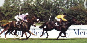 Turfkönig hieß 1990 der Sieger vor Dashing Blade beim ersten Bayerischen Zuchtrennen mit Gr. I-Status. 1990. Foto Archiv Zeno