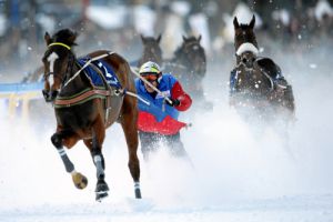 Schaffen den Hattrick in den St. Moritzer Skikjoeringrennen 