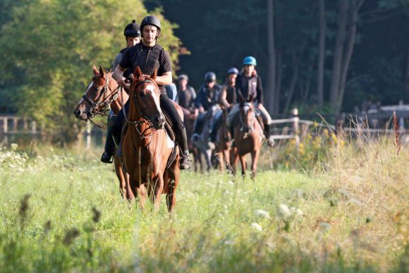 Eine ganze besondere Verbindung - Vanjura und Roland Dzubasz bei der Morgenarbeit 2010