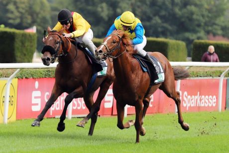 Wiedersehen im Herzog von Ratibor-Rennen: Virginia Storm (links) mit Andrasch Starke gewinnt gegen Novellini mit Jozef Bojko beim Maidenrennen in Düsseldorf und treffen auch in Krefeld wieder aufeinander. www.galoppfoto.de - Stephanie Gruttmann