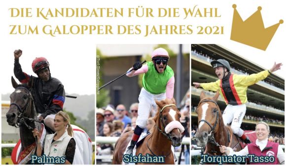 Spieglein, Spieglein an der Wand ....: Wer wird der Galopper des Jahres 2021 im Land? ©Turf-Times/Galoppfoto.de